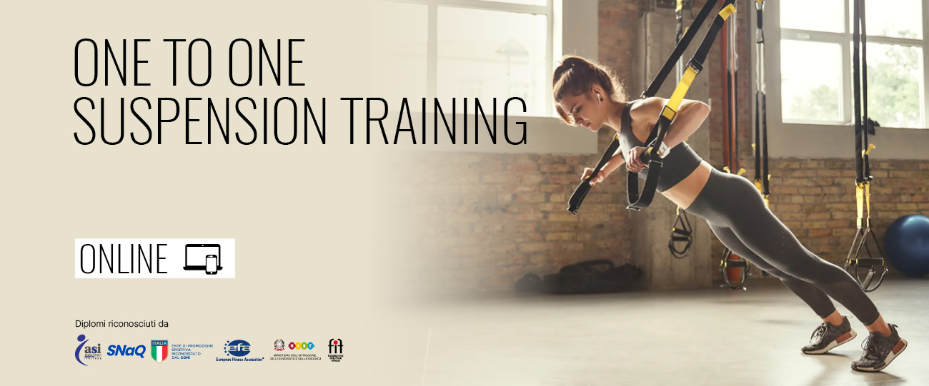 one to one suspension training online