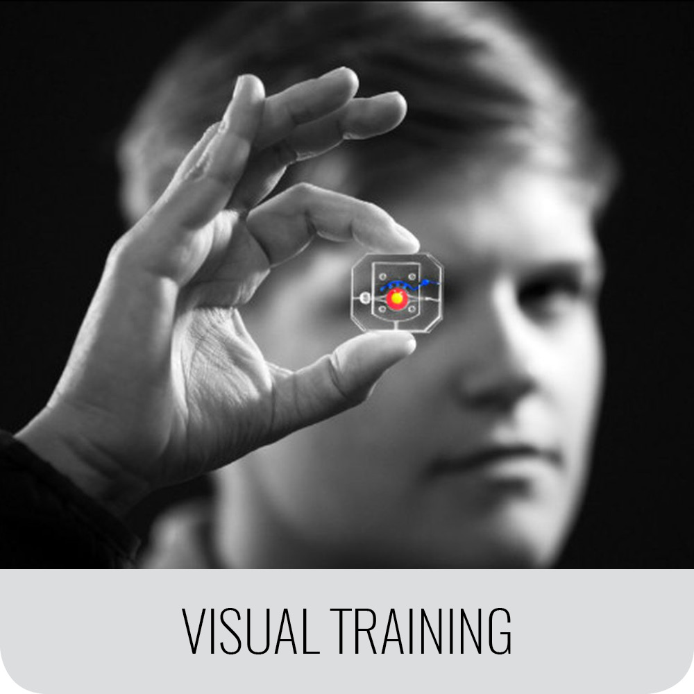 visual training